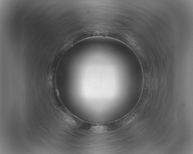 X0000073520269200608141008