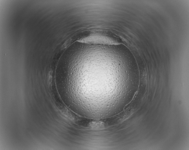 X0000073520271200608141008