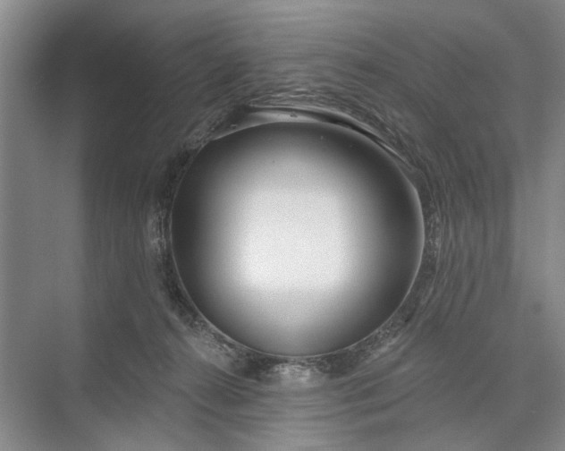 X0000073520272200608141008