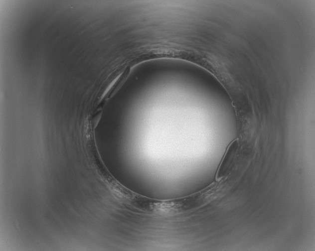 X0000073520273200608141008