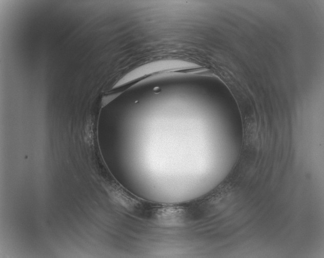 X0000073520274200608141008