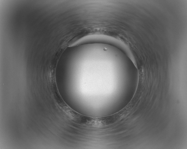 X0000073520276200608141008