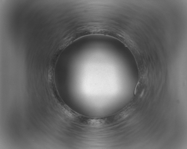 X0000073520277200608141008