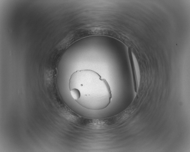 X0000073520278200608141008