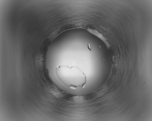 X0000073520279200608141008