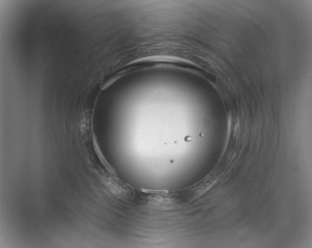 X0000073520284200608141008