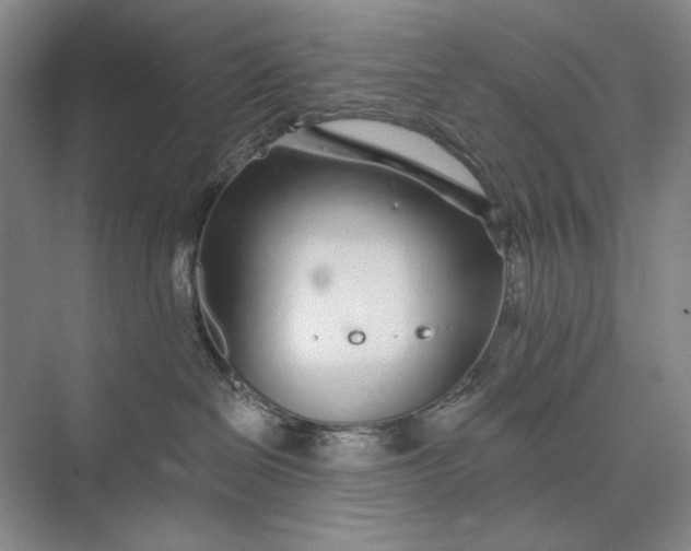 X0000073520286200608141008