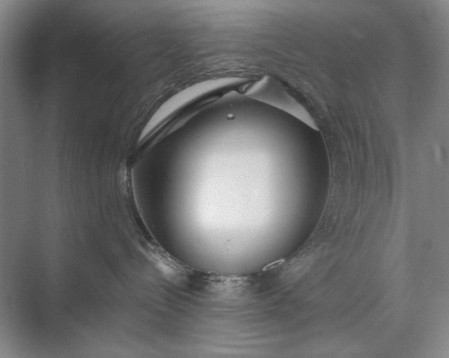 X0000073520288200608141008