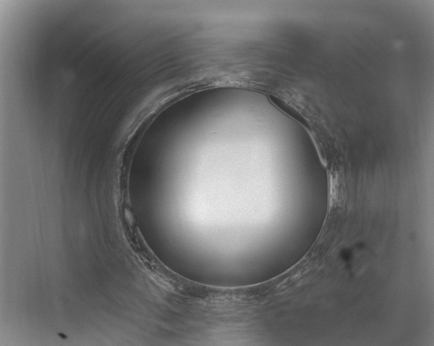 X0000073520291200608141007