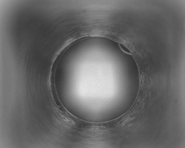 X0000073520292200608141007