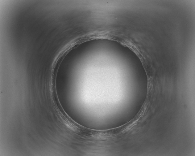 X0000073520293200608141007