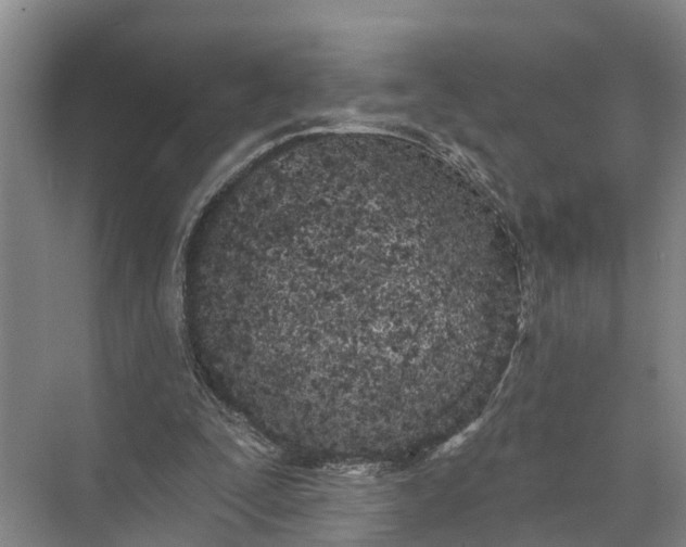 X0000073520295200608141007