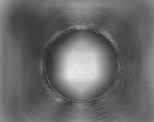 X0000073520297200608141007