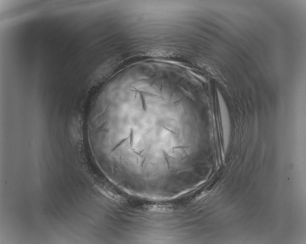 X0000073520303200608141007