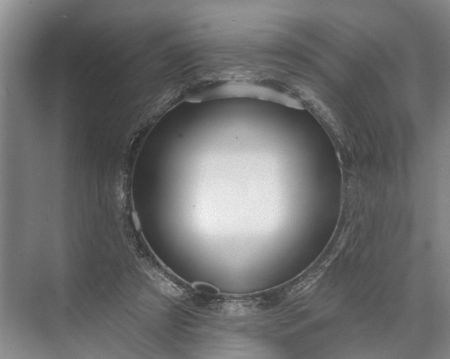 X0000073520305200608141007