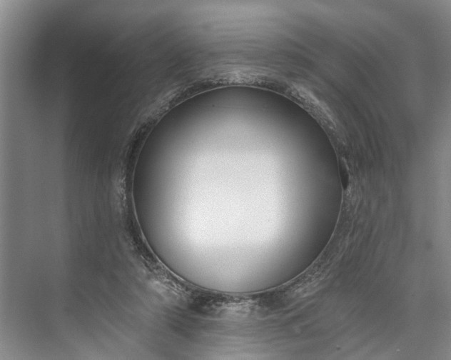 X0000073520306200608141007