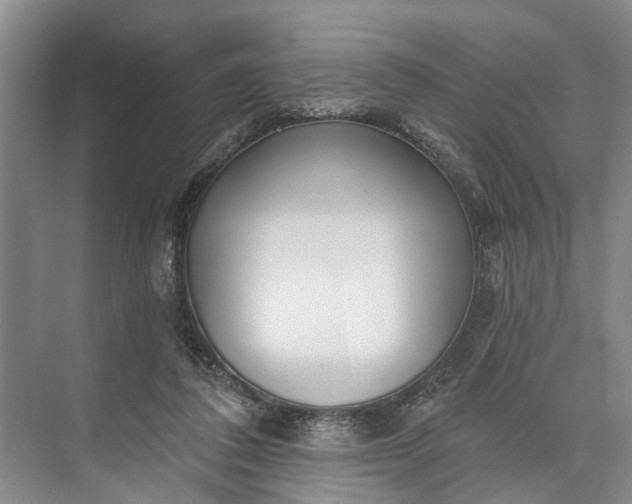 X0000073520308200608141007