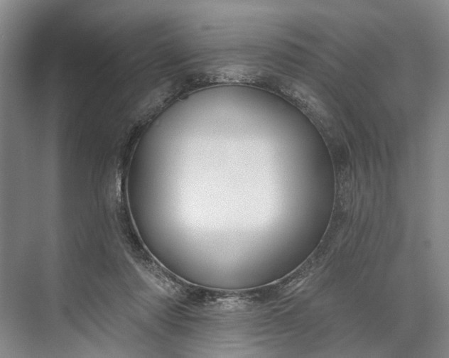 X0000073520310200608141007