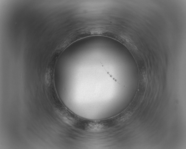 X0000073520311200608141007