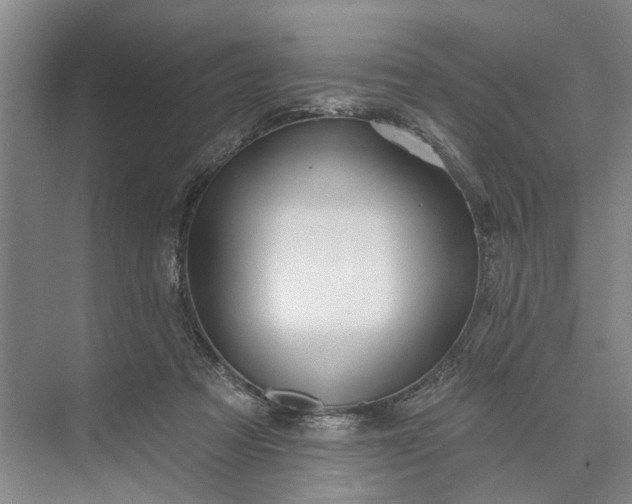 X0000073520313200608141007