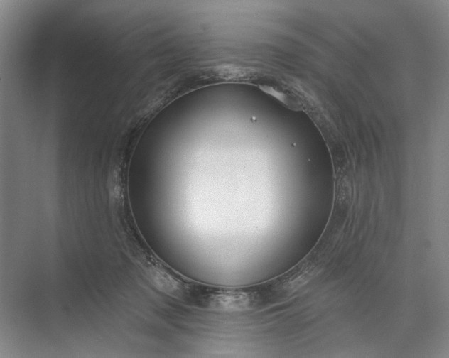 X0000073520317200608141007