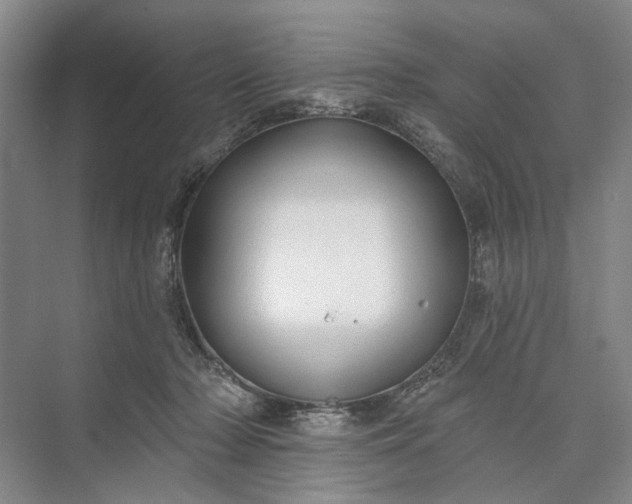 X0000073520318200608141007