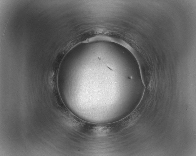 X0000073520319200608141007