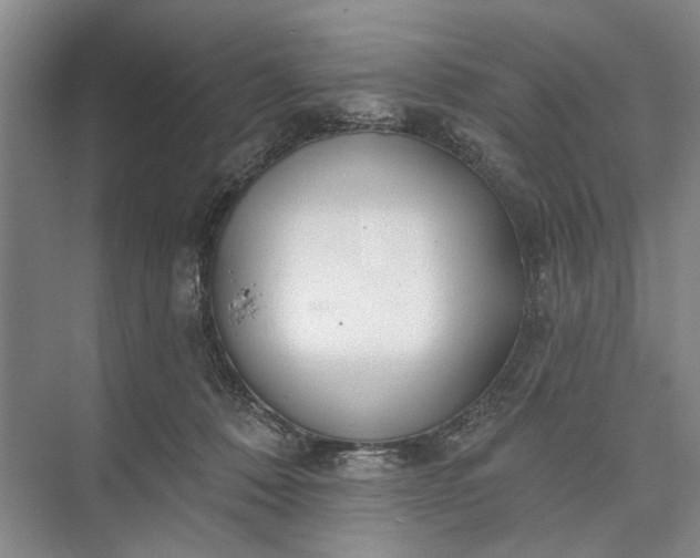 X0000073520320200608141007