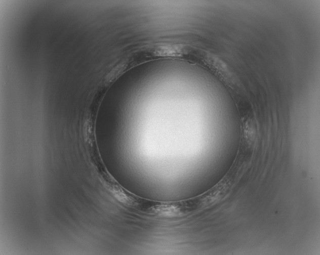 X0000073520322200608141007