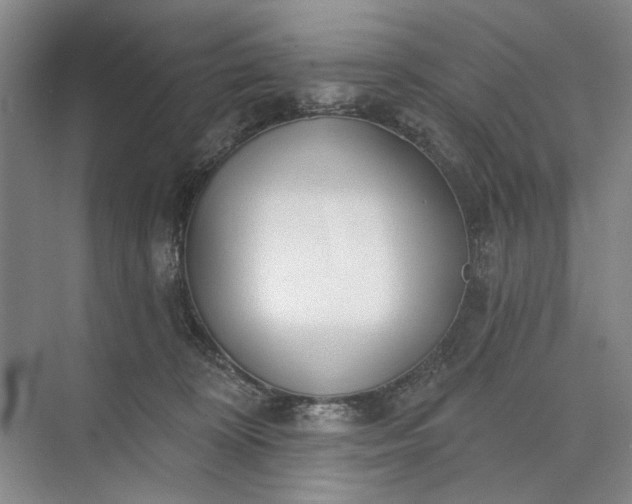 X0000073520324200608141007