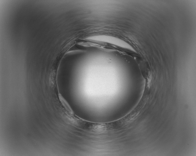 X0000073520325200608141007