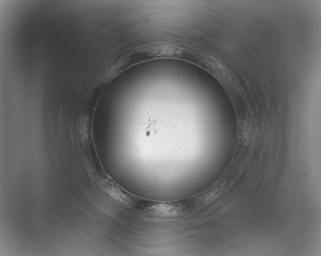 X0000073520326200608141007