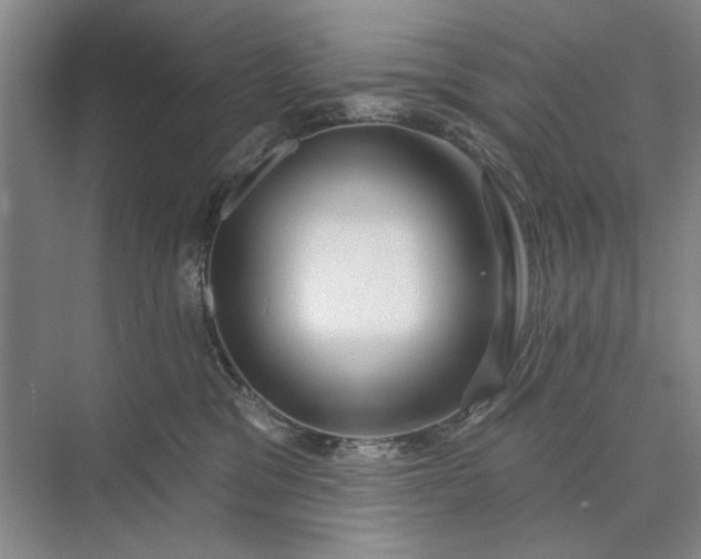 X0000073520329200608141007