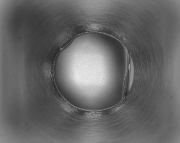 X0000073520331200608141007