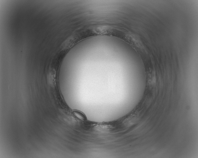 X0000073520332200608141007