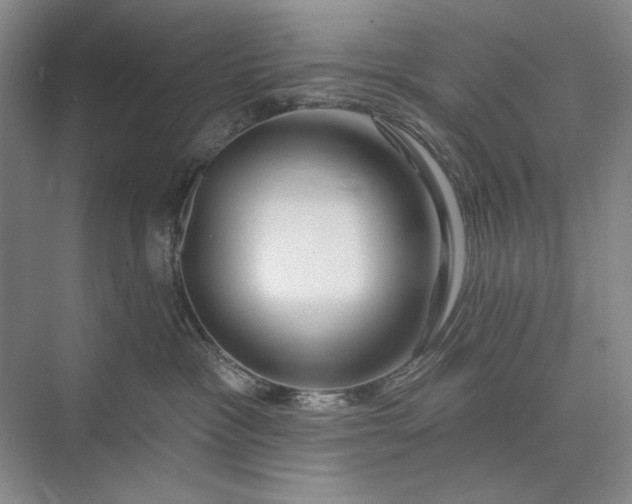 X0000073520333200608141007