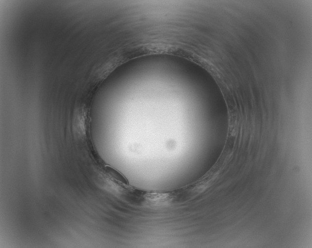 X0000073520334200608141006