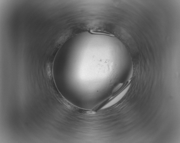 X0000073520335200608141006