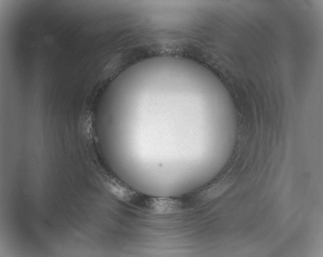 X0000073520336200608141006