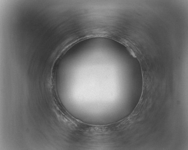 X0000073520338200608141006