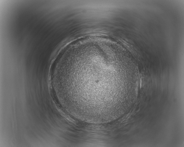 X0000073520339200608141006