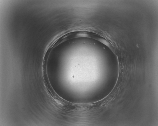 X0000073520340200608141006