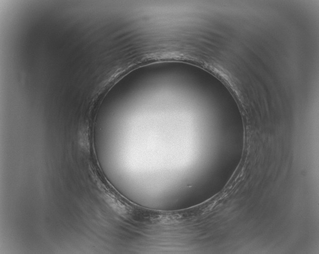 X0000073520345200608141006