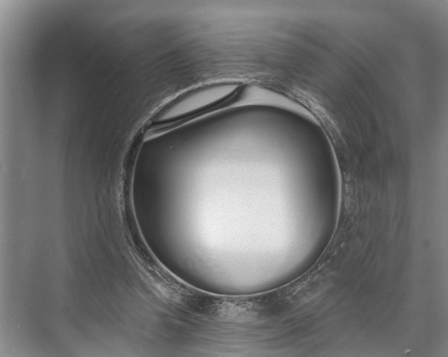 X0000073520346200608141006