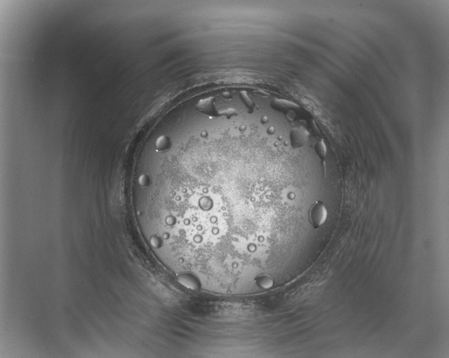 X0000073520347200608141006