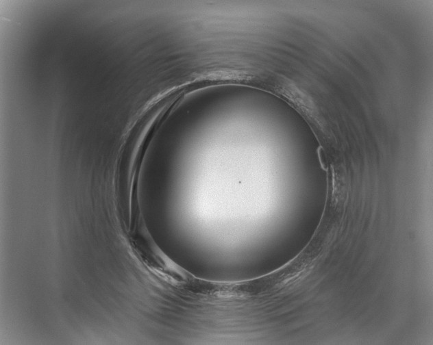 X0000073520348200608141006