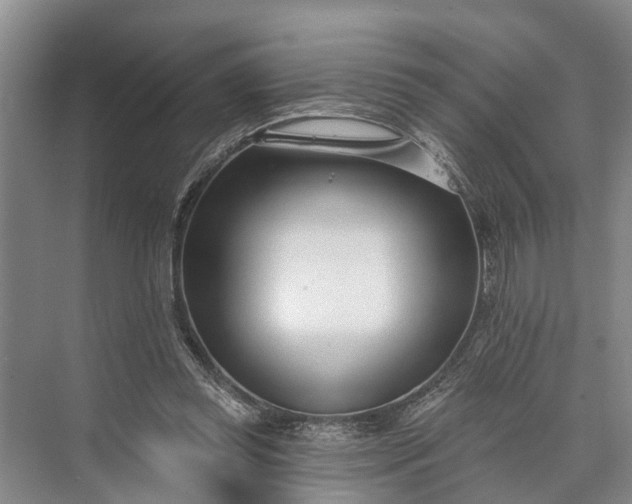 X0000073520349200608141006