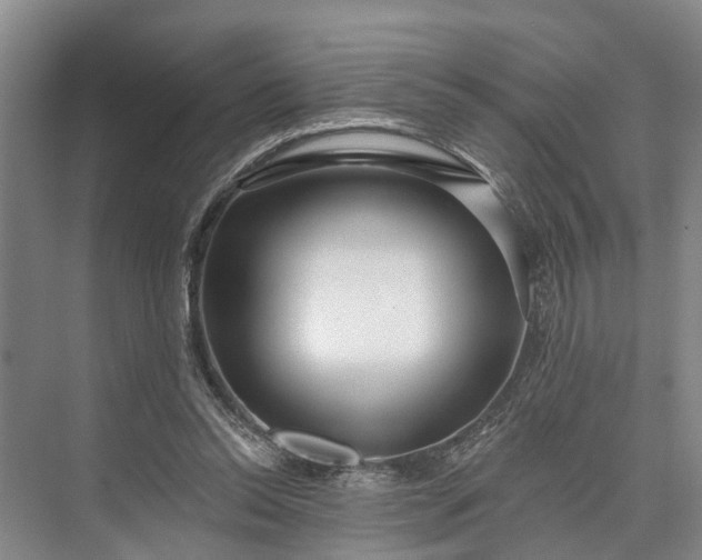 X0000073520350200608141006