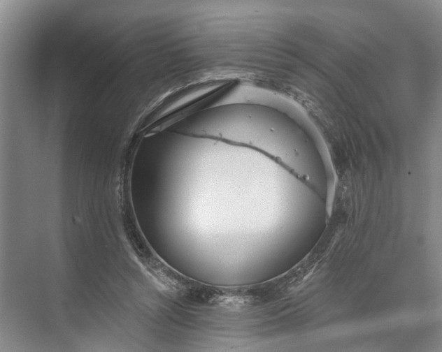 X0000073520352200608141006