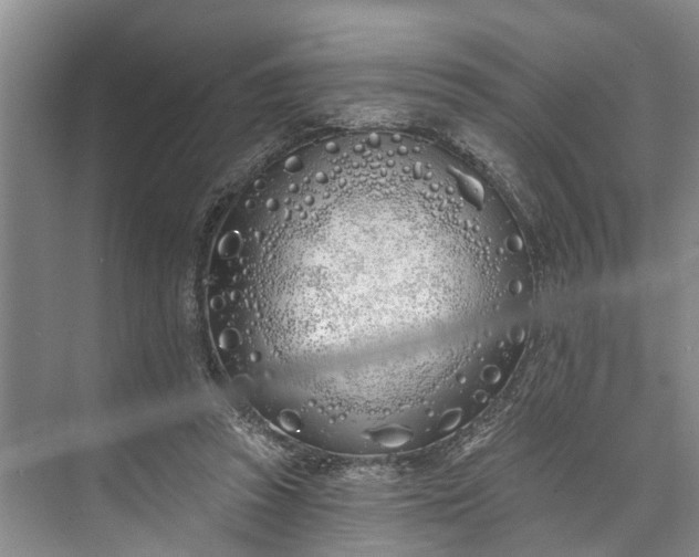 X0000073520353200608141006